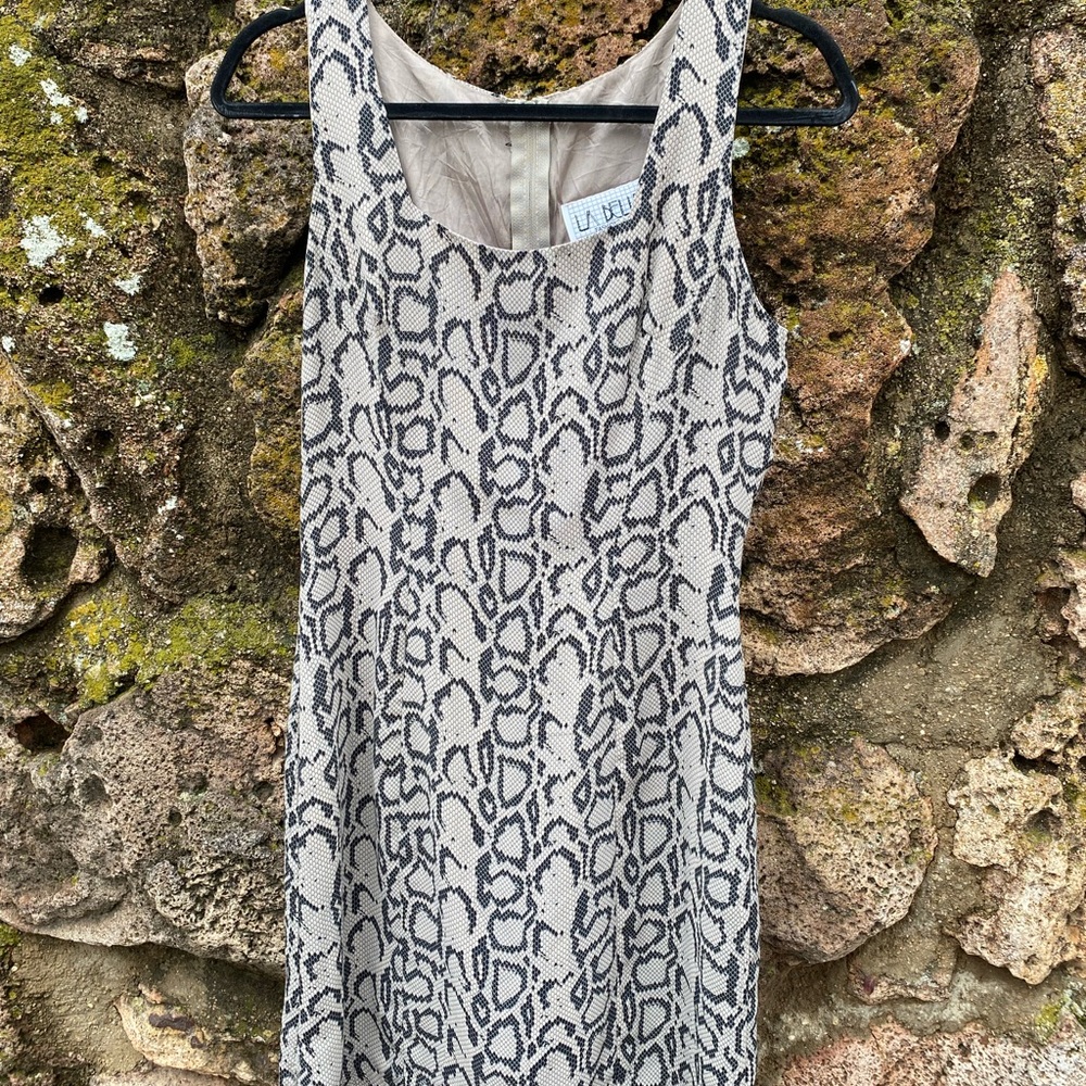 La Belle 90s Snake print dress.